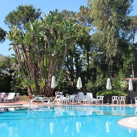 Hotel Pineta 3*