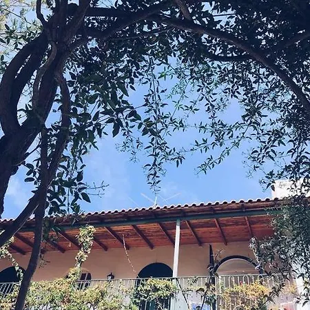 Hotel Pineta